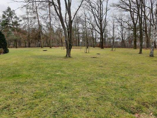 Große Gartenfläche