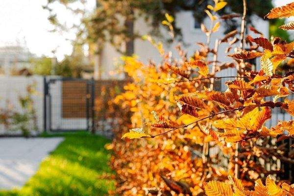 Musterwhg. Großreuther Straße 2.jpg