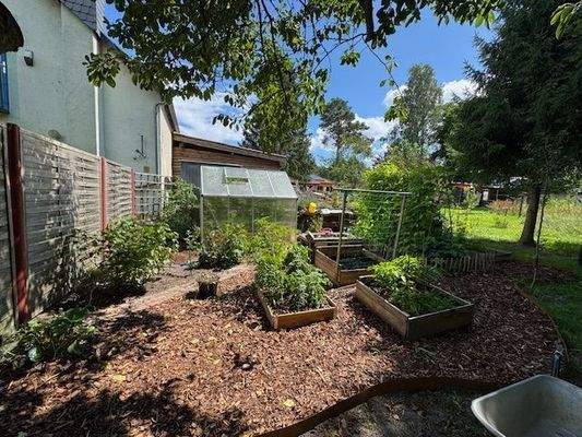 Gemüsegarten Sommer