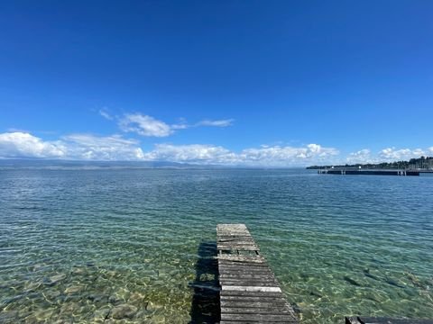 Thonon-les-Bains Häuser, Thonon-les-Bains Haus kaufen