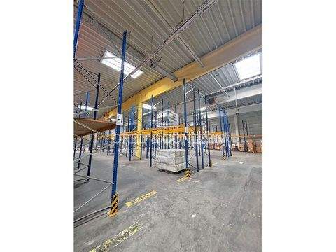 Köln Halle, Köln Hallenfläche