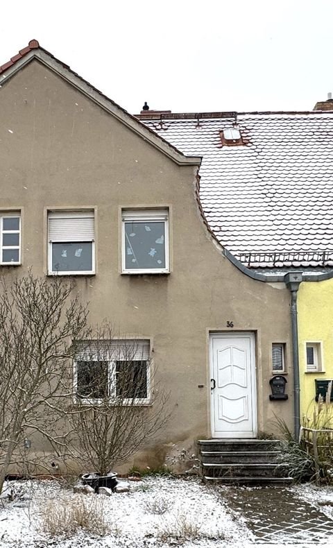 Zschornewitz Häuser, Zschornewitz Haus kaufen