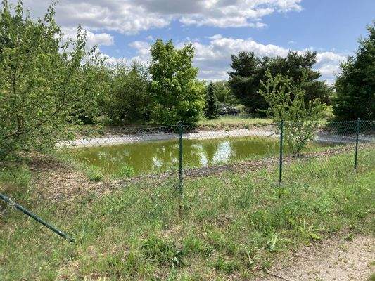 20250619_120013880_iOS