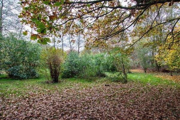 Ansicht Gartenfläche