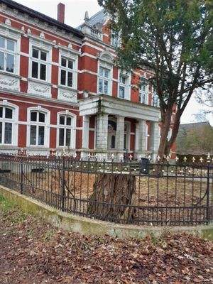 Vorderansicht mit Baum