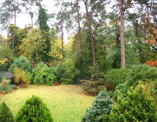 Blick von der Dachterrasse