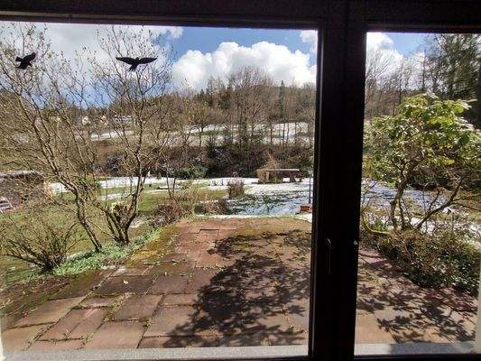 Blick aus Wohnzimmer