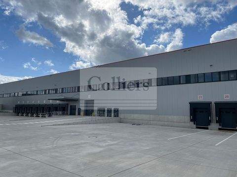 Hannover Halle, Hannover Hallenfläche