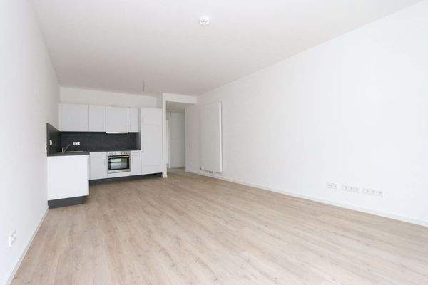 offener Wohn-Küchenbereich