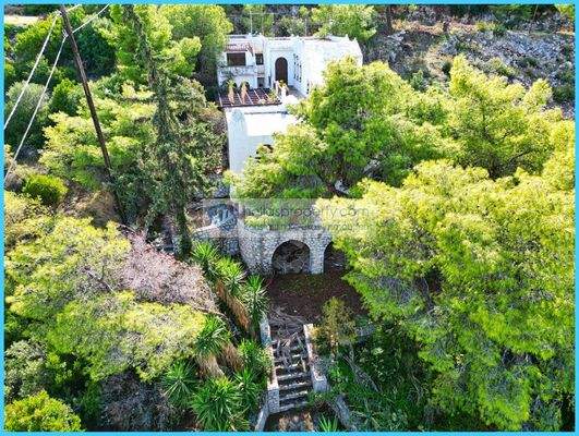 7eb7738c13f3490fbc7b2710e71f6d30-original