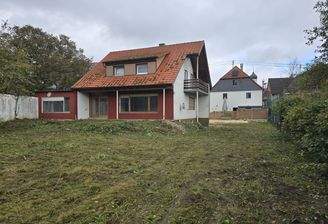 Westansicht Garten