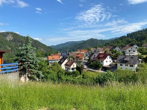 Forbach / Langenbrand Grundstücke, Forbach / Langenbrand Grundstück kaufen