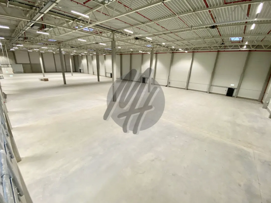 INFOS UNTER: 06171-586000