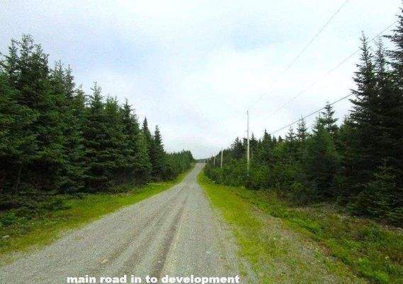 Private Zufahrt zur Parzellierung