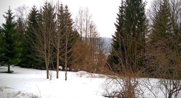 Geiersberg  – 98528 Suhl-Goldlauter