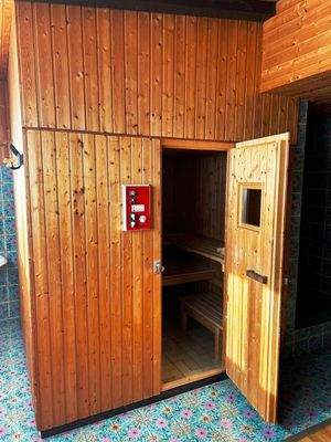 Sauna im Haus II
