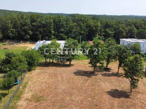 Bukovac - Remete Bauernhöfe, Landwirtschaft, Bukovac - Remete Forstwirtschaft