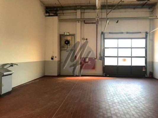 INFOS UNTER: 06171-586000