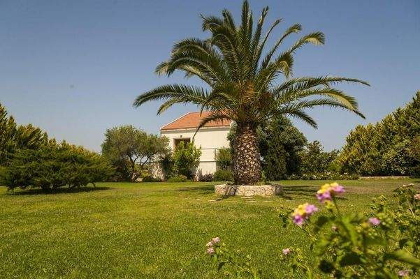 Kreta, Kampani: Zwei Luxusvillen auf Kreta in Meeresnähe