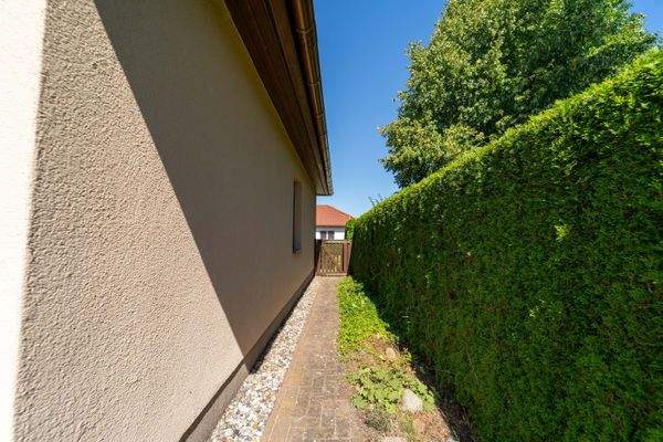 Außenansicht + Garten