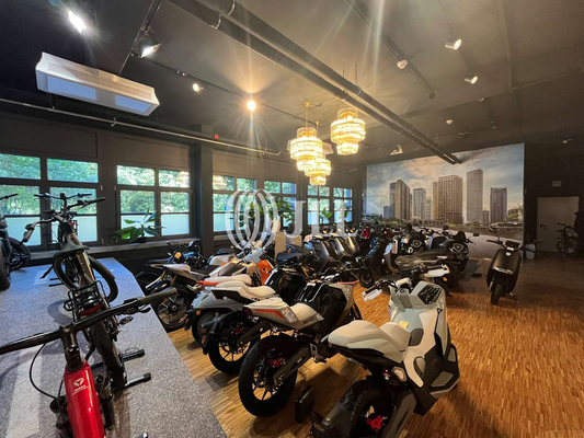 Innenansicht Showroom