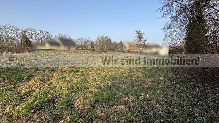 Blickrichtung: Norden / Straße