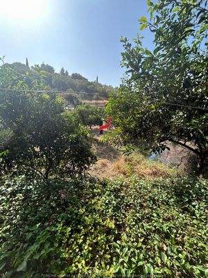 WhatsApp Image 2024-09-06 at 10.30.40 (1).jpeg