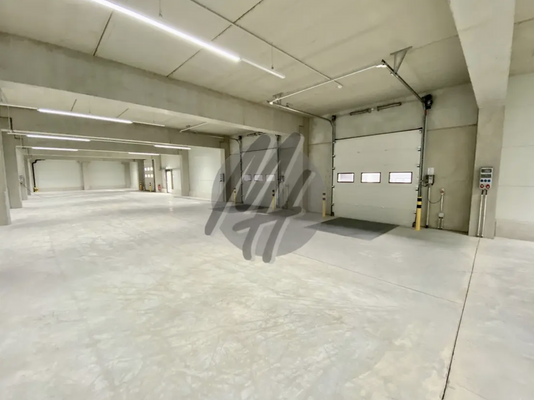 INFOS UNTER: 06171-586000