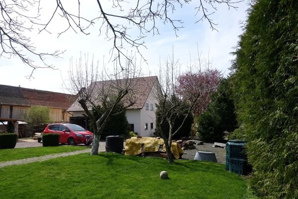 Garten 