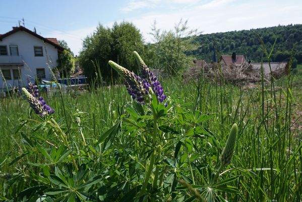 Lust auf sonnige Stunden?