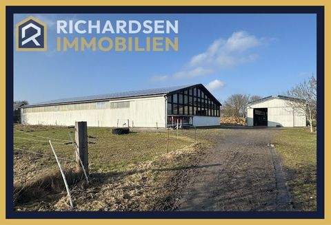 Risum-Lindholm Bauernhöfe, Landwirtschaft, Risum-Lindholm Forstwirtschaft