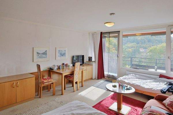 Wohn- u. Schlafzimmer_1