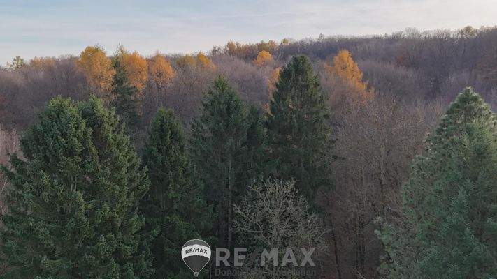 09 Aussicht vom Balkon