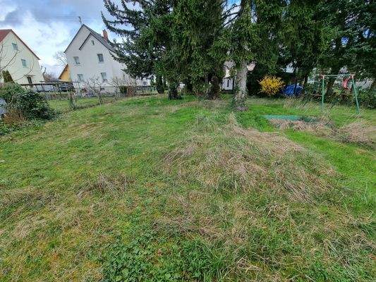 WhatsApp Bild 2024-04-03 um 12.17.39_f5a1dbc7.jpg