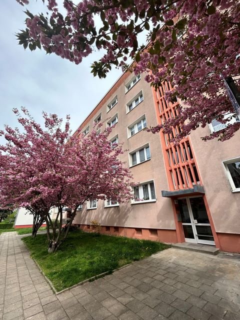 Dessau-Roßlau Wohnungen, Dessau-Roßlau Wohnung mieten