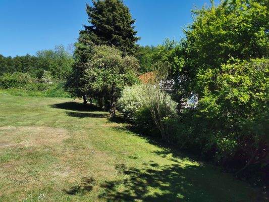 Hinterer Garten mit den v. Büschen umrahmten Bach