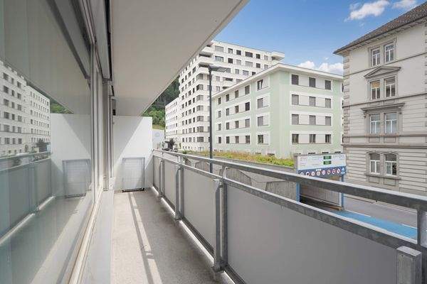 diezwei_10-913 (6).jpg