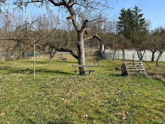 Obstwiese bzw. Bauplatz.JPG
