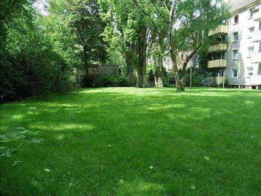 Wiese hinter dem Haus