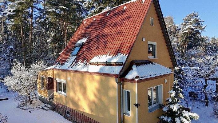 Seitenansicht im Januar