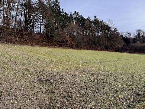 Pfeffenhausen / Oberlauterbach Bauernhöfe, Landwirtschaft, Pfeffenhausen / Oberlauterbach Forstwirtschaft