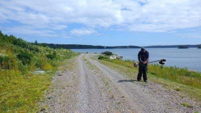 Mäharbeiten entlang der Wasserfront