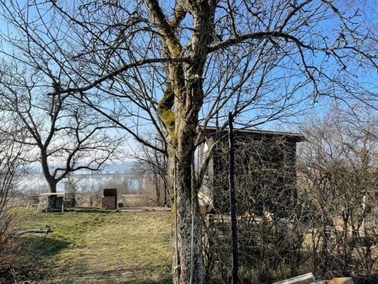 Reines Freizeitgrundstück mit Bodenseeblick nicht bebaubar Freizeit