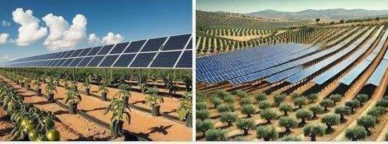 Beispielfoto_Agripark