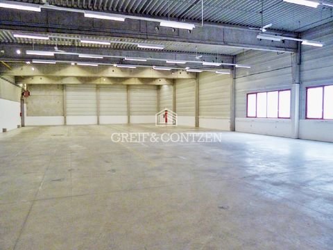 Köln Halle, Köln Hallenfläche