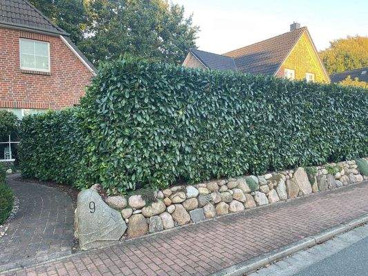 straßenseitiger Friesensteinwall 4028 .jpeg