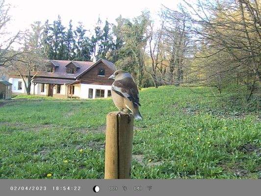 341383481_777111476958980_7456216381086438337_n.jp