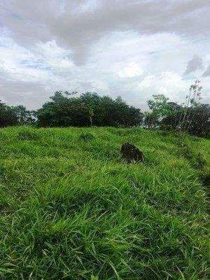 ImmoScout360 Farmland 2,5 ha
