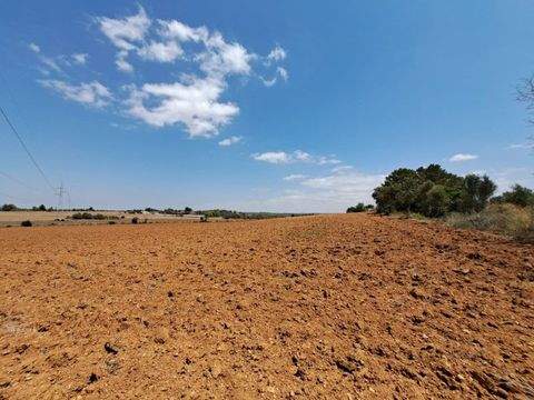 Santa Eugènia Grundstücke, Santa Eugènia Grundstück kaufen