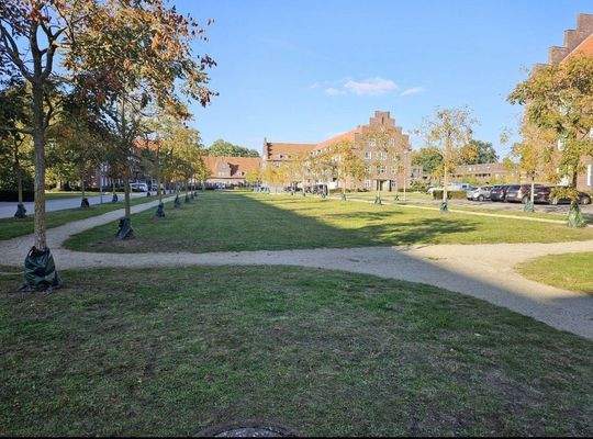 Park mit Bäumen und Wegen